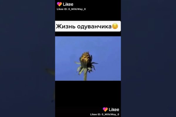 Кракен верное зеркало