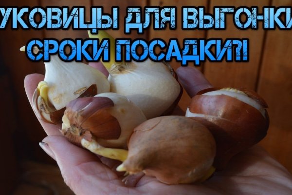 Kraken как найти ссылку