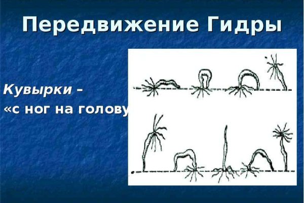Кракен маркетплейс актуальные ссылки