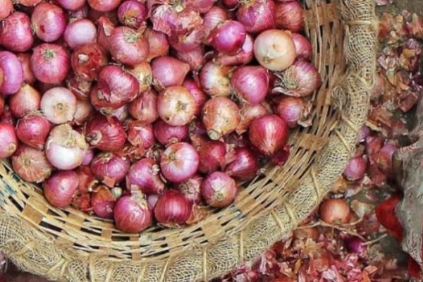 Ссылка кракен через тор